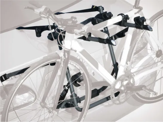 TRUNK MOUNT BIKE CARRIER - GENESIS